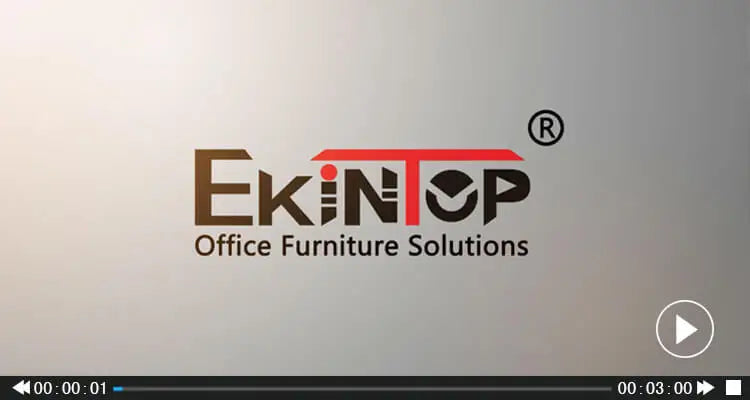 Ekintop Modern New Design Foshan Sofa Bed Steel Sofa Cum Bed